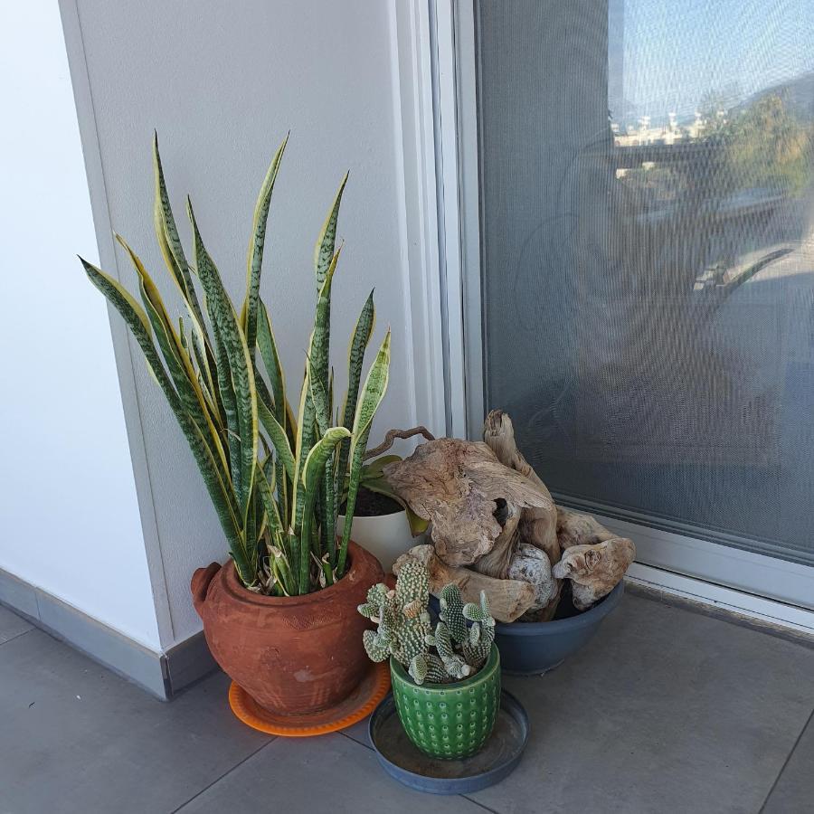 Latchi Ithaki, 2 Bedroom Penthouse Dış mekan fotoğraf